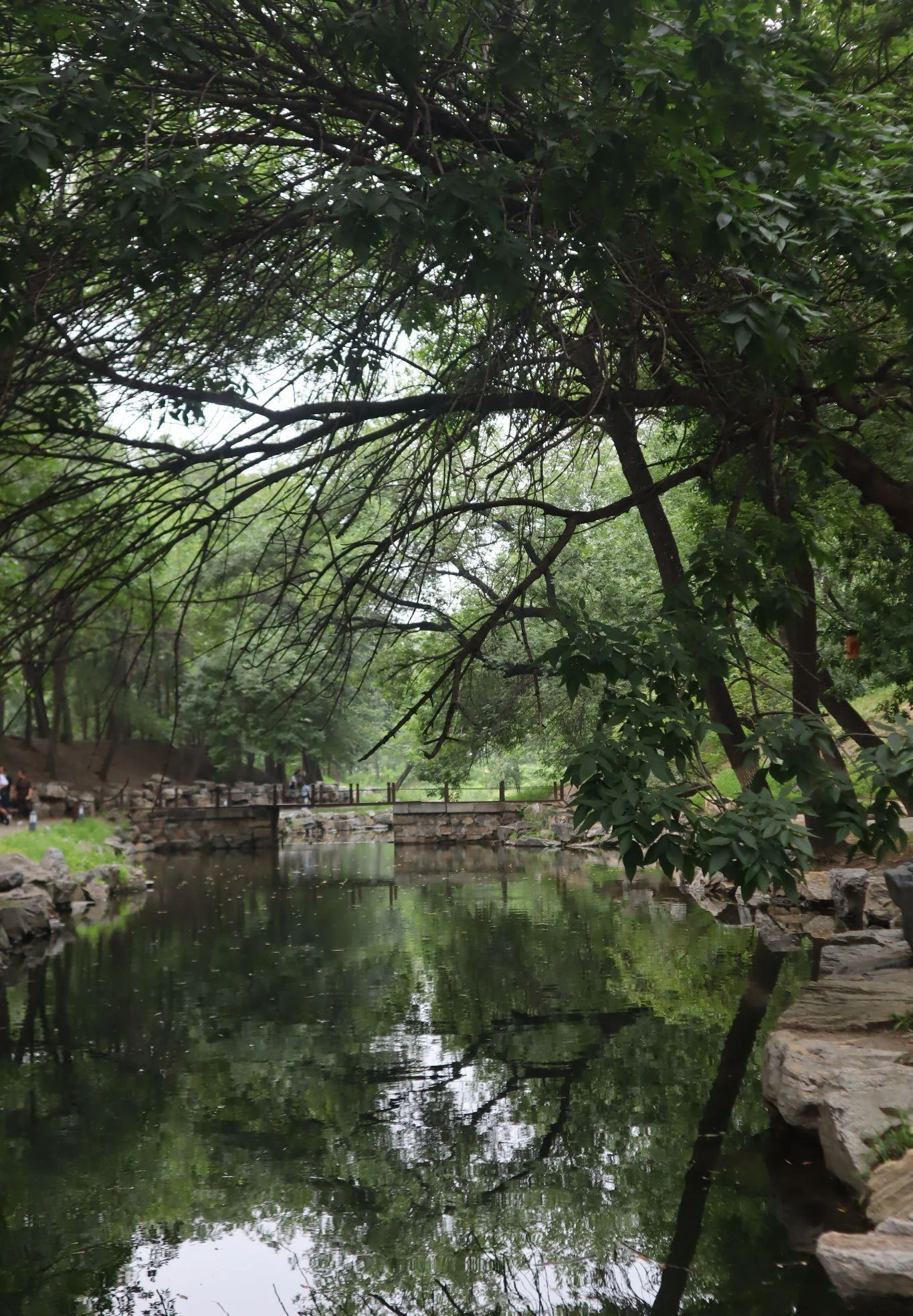 A view much like Taiziwan Park