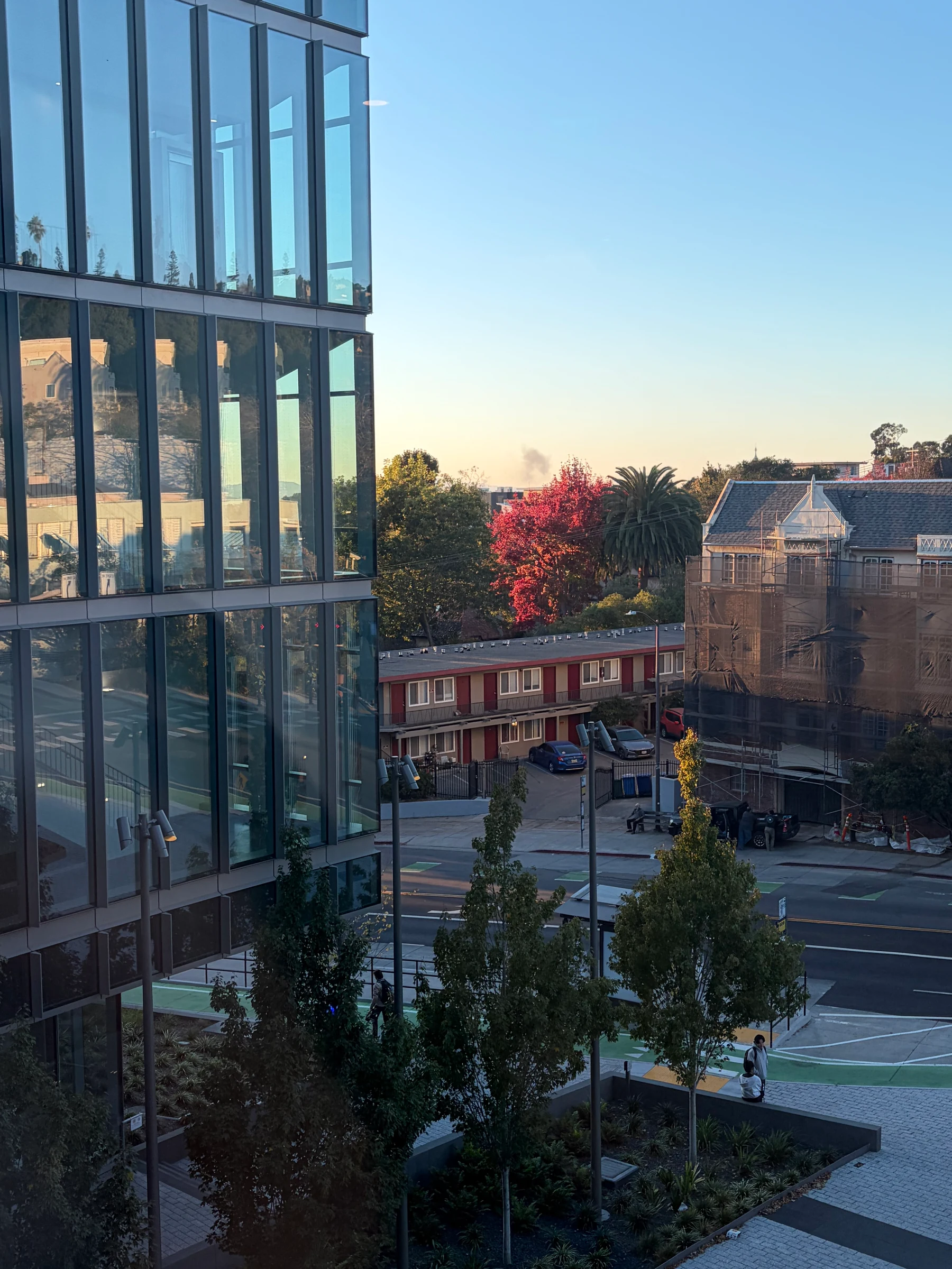 Looking out from the glass building: evening sun on the little houses across the street and a tree in red leaf